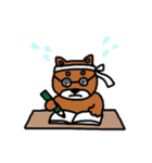 まいにち柴さん（個別スタンプ：32）
