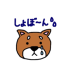 まいにち柴さん（個別スタンプ：37）