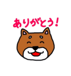 まいにち柴さん（個別スタンプ：38）