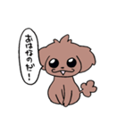 トイプーのプーちゃん（個別スタンプ：1）