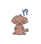 トイプーのプーちゃん（個別スタンプ：5）