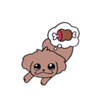 トイプーのプーちゃん（個別スタンプ：12）
