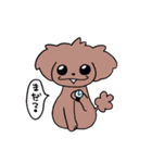 トイプーのプーちゃん（個別スタンプ：13）