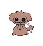 トイプーのプーちゃん（個別スタンプ：16）