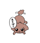 トイプーのプーちゃん（個別スタンプ：19）