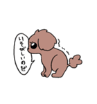 トイプーのプーちゃん（個別スタンプ：20）