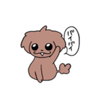 トイプーのプーちゃん（個別スタンプ：31）