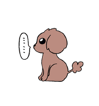 トイプーのプーちゃん（個別スタンプ：34）