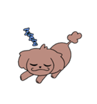 トイプーのプーちゃん（個別スタンプ：39）