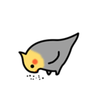 Egg of Sunbird（個別スタンプ：5）
