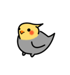 Egg of Sunbird（個別スタンプ：6）