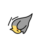 Egg of Sunbird（個別スタンプ：8）