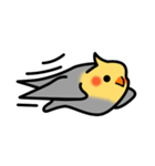 Egg of Sunbird（個別スタンプ：13）