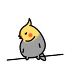 Egg of Sunbird（個別スタンプ：17）