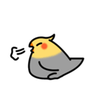 Egg of Sunbird（個別スタンプ：19）
