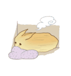 sweet bunny buns - Pink Bun ＆  Wheat Bun（個別スタンプ：22）
