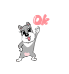 Schnauzer Gucci (Practical-Part1)（個別スタンプ：1）