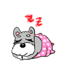 Schnauzer Gucci (Practical-Part1)（個別スタンプ：2）