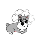 Schnauzer Gucci (Practical-Part1)（個別スタンプ：5）