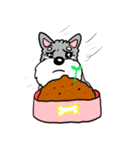 Schnauzer Gucci (Practical-Part1)（個別スタンプ：6）