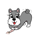 Schnauzer Gucci (Practical-Part1)（個別スタンプ：8）