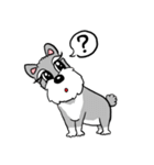 Schnauzer Gucci (Practical-Part1)（個別スタンプ：11）
