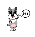 Schnauzer Gucci (Practical-Part1)（個別スタンプ：12）