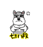 Schnauzer Gucci (Practical-Part1)（個別スタンプ：14）