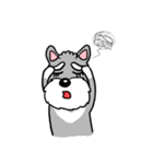 Schnauzer Gucci (Practical-Part1)（個別スタンプ：15）
