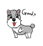 Schnauzer Gucci (Practical-Part1)（個別スタンプ：17）