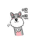 Schnauzer Gucci (Practical-Part1)（個別スタンプ：18）