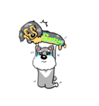 Schnauzer Gucci (Practical-Part1)（個別スタンプ：19）