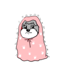 Schnauzer Gucci (Practical-Part1)（個別スタンプ：20）