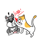 Schnauzer Gucci (Practical-Part1)（個別スタンプ：24）