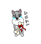 Schnauzer Gucci (Practical-Part1)（個別スタンプ：27）