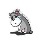 Schnauzer Gucci (Practical-Part1)（個別スタンプ：31）