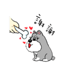 Schnauzer Gucci (Practical-Part1)（個別スタンプ：34）