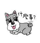 Schnauzer Gucci (Practical-Part1)（個別スタンプ：38）