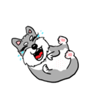 Schnauzer Gucci (Practical-Part1)（個別スタンプ：39）