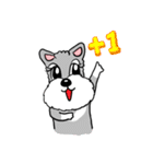 Schnauzer Gucci (Practical-Part1)（個別スタンプ：40）