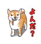 我が家の柴犬と白猫。（個別スタンプ：29）