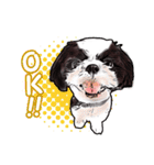 まゆ犬健太（生活編vol.2）（個別スタンプ：1）