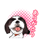 まゆ犬健太（生活編vol.2）（個別スタンプ：3）