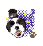 まゆ犬健太（生活編vol.2）（個別スタンプ：4）