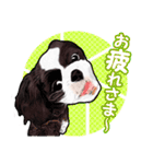 まゆ犬健太（生活編vol.2）（個別スタンプ：7）