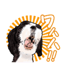 まゆ犬健太（生活編vol.2）（個別スタンプ：8）