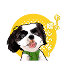 まゆ犬健太（生活編vol.2）（個別スタンプ：9）