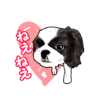 まゆ犬健太（生活編vol.2）（個別スタンプ：10）