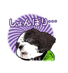 まゆ犬健太（生活編vol.2）（個別スタンプ：11）