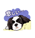 まゆ犬健太（生活編vol.2）（個別スタンプ：12）
